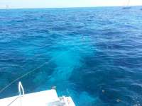 Great day of scuba diving in Key Largo with Rainbow Reef on drift molasses tropical adventure 2014 06 13 r371 1