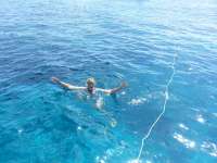 Great day of scuba diving in Key Largo with Rainbow Reef on drift molasses tropical voyager 2014 06 20 r394 1