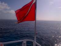Great day of scuba diving in Key Largo with Rainbow Reef on eagle ray alley tropical adventure 2014 06 07 r345 1