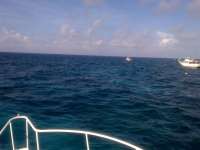 Great day of scuba diving in Key Largo with Rainbow Reef on eagle ray alley tropical adventure 2014 06 14 r372 1