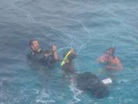 Great day of scuba diving in Key Largo with Rainbow Reef on eagle ray alley tropical odyssey 2014 06 02 r335 1