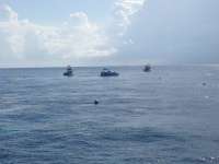 Great day of scuba diving in Key Largo with Rainbow Reef on fire coral cave tropical odyssey 2014 06 27 r415 3