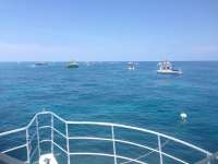 Great day of scuba diving in Key Largo with Rainbow Reef on fire coral cave tropical odyssey 2014 06 29 r427 2