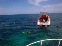 Great day of scuba diving in Key Largo with Rainbow Reef on minnow cave tropical adventure 2014 06 27 r417 1