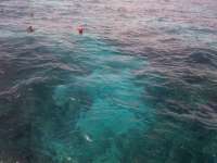 Great day of scuba diving in Key Largo with Rainbow Reef on minnow cave tropical odyssey 2014 06 18 r389 1