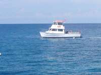 Great day of scuba diving in Key Largo with Rainbow Reef on molasses reef tropical odyssey 2014 06 30 r430 3