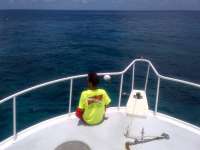 Great day of scuba diving in Key Largo with Rainbow Reef on north star tropical adventure 2014 06 20 r395 1
