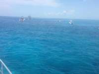 Great day of scuba diving in Key Largo with Rainbow Reef on north star tropical odyssey 2014 06 09 r356 2