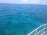 Great day of scuba diving in Key Largo with Rainbow Reef on north star tropical odyssey 2014 06 09 r356 3