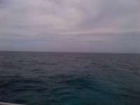 Great day of scuba diving in Key Largo with Rainbow Reef on north star tropical odyssey 2014 06 17 r386 1