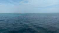Great day of scuba diving in Key Largo with Rainbow Reef on north star tropical voyager 2014 06 23 r404 1