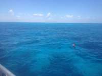 Great day of scuba diving in Key Largo with Rainbow Reef on permit ledges tropical odyssey 2014 06 05 r343 2