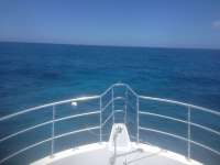 Great day of scuba diving in Key Largo with Rainbow Reef on permit ledges tropical odyssey 2014 06 05 r343 3