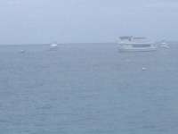 Great day of scuba diving in Key Largo with Rainbow Reef on permit ledges tropical odyssey 2014 06 12 r369 1
