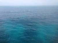 Great day of scuba diving in Key Largo with Rainbow Reef on permit ledges tropical odyssey 2014 06 12 r369 2
