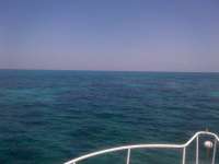 Great day of scuba diving in Key Largo with Rainbow Reef on pickle barrel wreck tropical adventure 2014 06 08 r353 1