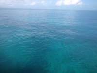 Great day of scuba diving in Key Largo with Rainbow Reef on snapper ledge tropical odyssey 2014 06 06 r344 1