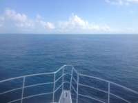 Great day of scuba diving in Key Largo with Rainbow Reef on snapper ledge tropical odyssey 2014 06 06 r344 3