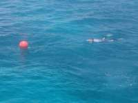 Great day of scuba diving in Key Largo with Rainbow Reef on snapper ledge tropical odyssey 2014 06 08 r352 1