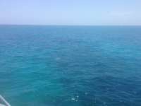 Great day of scuba diving in Key Largo with Rainbow Reef on snapper ledge tropical odyssey 2014 06 08 r352 2