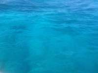 Great day of scuba diving in Key Largo with Rainbow Reef on snapper ledge tropical odyssey 2014 06 13 r370 2
