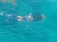 Great day of scuba diving in Key Largo with Rainbow Reef on snapper ledge tropical odyssey 2014 06 20 r393 2