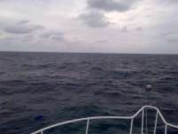 Great day of scuba diving in Key Largo with Rainbow Reef on spiegel grove tropical adventure 2014 06 03 r337 1