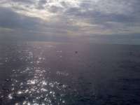 Great day of scuba diving in Key Largo with Rainbow Reef on spiegel grove tropical adventure 2014 06 10 r358 1