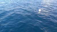 Great day of scuba diving in Key Largo with Rainbow Reef on spiegel grove tropical adventure 2014 06 26 r412 1