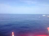 Great day of scuba diving in Key Largo with Rainbow Reef on spiegel grove tropical odyssey 2014 06 19 r391 2
