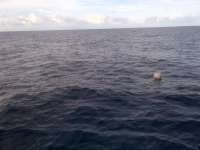 Great day of scuba diving in Key Largo with Rainbow Reef on spiegel grove tropical voyager 2014 06 01 r331 1