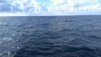 Great day of scuba diving in Key Largo with Rainbow Reef on spiegel grove tropical voyager 2014 06 17 r384 1