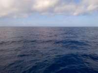 Great day of scuba diving in Key Largo with Rainbow Reef on uscgc bibb tropical adventure 2014 06 11 r362 1
