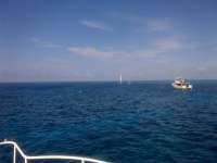 Great day of scuba diving in Key Largo with Rainbow Reef on uscgc duane tropical adventure 2014 06 09 r355 1