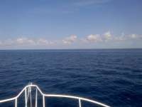 Great day of scuba diving in Key Largo with Rainbow Reef on uscgc duane tropical adventure 2014 06 23 r403 1