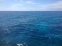 Great day of scuba diving in Key Largo with Rainbow Reef on winch hole tropical odyssey 2014 06 05 r342 3