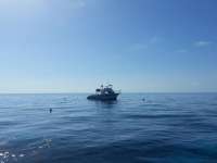 Great day of scuba diving in Key Largo with Rainbow Reef on winch hole tropical voyager 2014 06 21 r396 1