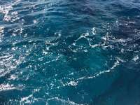Great day of scuba diving in Key Largo with Rainbow Reef on benwood wreck tropical adventure 2014 03 02 r175 1
