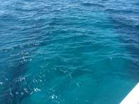 Great day of scuba diving in Key Largo with Rainbow Reef on benwood wreck tropical adventure 2014 03 30 r224 1