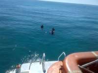 Great day of scuba diving in Key Largo with Rainbow Reef on conch pillars tropical adventure 2014 03 08 r187 1