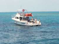 Great day of scuba diving in Key Largo with Rainbow Reef on eagle ray alley tropical odyssey 2014 03 20 r209 4