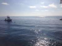 Great day of scuba diving in Key Largo with Rainbow Reef on hole in the wall tropical odyssey 2014 03 21 r211 3