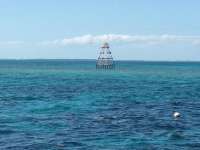 Great day of scuba diving in Key Largo with Rainbow Reef on molasses reef tropical adventure 2014 03 04 r180 1