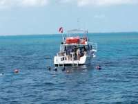 Great day of scuba diving in Key Largo with Rainbow Reef on molasses reef tropical adventure 2014 03 20 r208 1