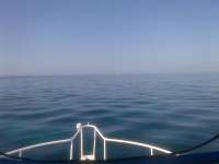 Great day of scuba diving in Key Largo with Rainbow Reef on molasses reef tropical adventure 2014 03 23 r217 1