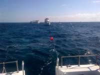 Great day of scuba diving in Key Largo with Rainbow Reef on molasses reef tropical explorer 2014 03 12 r195 1