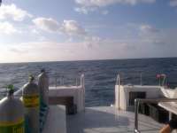 Great day of scuba diving in Key Largo with Rainbow Reef on molasses reef tropical explorer 2014 03 13 r198 1