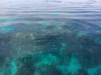 Great day of scuba diving in Key Largo with Rainbow Reef on north dry rocks tropical adventure 2014 03 11 r194 1