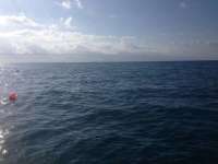 Great day of scuba diving in Key Largo with Rainbow Reef on north star tropical explorer 2014 03 19 r204 1