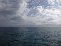 Great day of scuba diving in Key Largo with Rainbow Reef on north star tropical explorer 2014 03 19 r204 2
